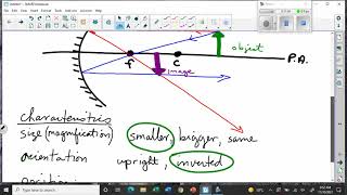 Images in Curved Mirrors