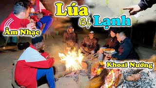 Đông Paulo || Thâu Đêm Tại Nông Trại Và Những Điều Chỉ Được Thấy Khi Về Đêm