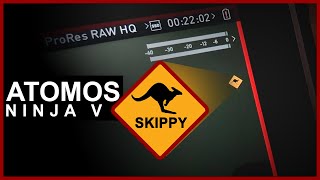 Atomos Ninja V Skippy - Frame Drop Kangaroo