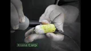 Kiana Carp Goo - Pineapple Supreme Bait Smoke Demo