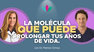 La MOLÉCULA que PUEDE PROLONGAR tus AÑOS de VIDA con Dr. Patricio Ochoa y Nathaly Marcus en Las 3 R