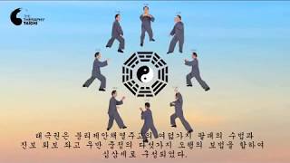 TAI CHI 13 Original Movements of Taijiquan with Master Lee Chan