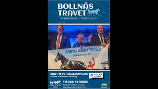 Bollnästravet 230314 Kval Premie