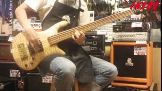 【池部楽器店】　厳選Fretless Bass特集 / SPECTOR NS-5XL/FL  【USED】