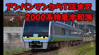 [アンパンマンからTSEまで]JR四国2000系特急宇和海走行シーン