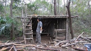 Cabin in the woods, A forest cabin built on the two floor, bushcraft camping