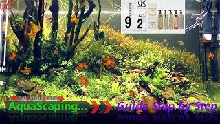 CAL AQUA LABS - COMPLETE AQUASCAPING GUIDE STEP BY STEP