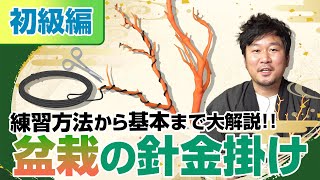 【基本が丸わかり！】盆栽の針金掛け(初級編)