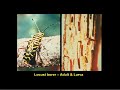 Insects: Locust Borer, 4-H Forestry