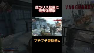 【COD Vanguard】焼夷弾爆撃エグいって！強すぎだろw