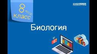 Биология. 8 класс. Причины и последствия кожных заболеваний /22.01.2021/