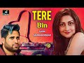 Tere Bin | New Latest Hindi Song 2024 | Ali Akram Mirpuri Song | New Version Song 2024 | New Song