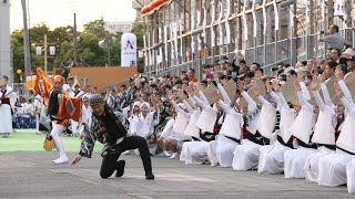 藝茶楽（げじゃらく）最終日 #阿波踊り#阿波おどり