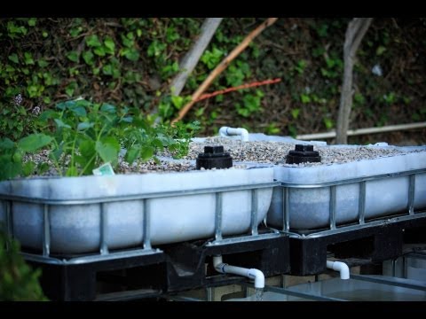 Aquaponic BackYard System - How to build Part 1 Aquaponic BackYard System - How to build Part 1