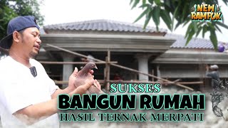 BPK BUDY SUKSES BANGUN RUMAH HASIL DARI JUALAN BURUNG MERPATI  - NEW RAMPOK