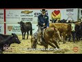 2021 ncha kit kat sugar super stakes 6 u00267yo open finals highlights