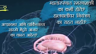 मेंदूचे आजार अल्झायमर आणि पार्किन्सन्स जगभरात का वाढत आहेत? इलाज आहे की नाही? | आरोग्य माहिती