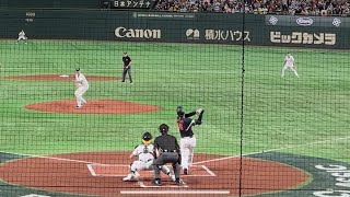 【ホームラン】大谷翔平 WBC 東京ドーム | バックネット裏