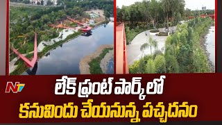 The Greenery To Be Seen In Lake Front Park Hyderabad | Ntv