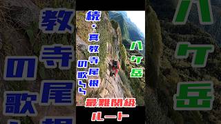 【続・真教寺尾根の歌♪】 真教寺尾根 下山編④【八ヶ岳】#登山  #赤岳  #百名山 #shorts