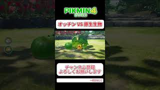 #ピクミン4 オッチン VS オオハナタタキ