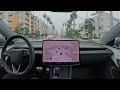 tesla fsd 13.2.6 drives to runyon canyon in the rain with zero interventions