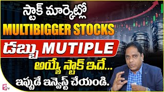 Multibagger Stocks to Buy Now 2023 Telugu | Stock Market for Beginner | Murthy Naidu | SumanTV Money