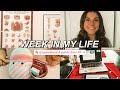 week in my life as a doctor of physical therapy student | lymphedema, pelvic floor, NPTE prep