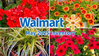 Walmart Garden Center Mid May 2025 🌷 New Arrivals + Plants You’ll Love