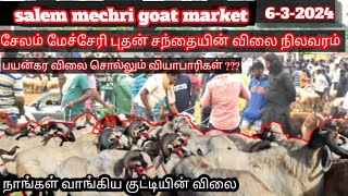 மேச்சேரி ஆட்டுச் சந்தை நிலவரம் #Salem_mecheri_Goat_Market 2024