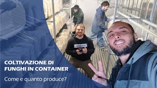 COLTIVARE FUNGHI: nuovo container di produzione!