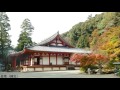 【panasonic fz1000】 10 観心寺と紅葉