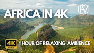 Africa in 4K - Stunning Landscapes & Incredible Wildlife | A Cinematic Safari