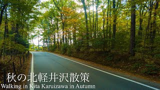 秋の北軽井沢散策　Walking in Kita Karuizawa in autumn 2021