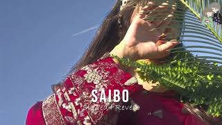 Saibo | Slowed+Reverb | Vibie | Cute Music