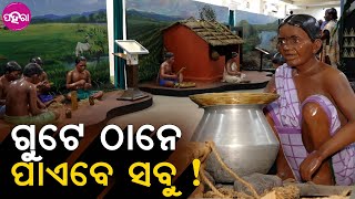 State Tribal Museum, Odisha: ଇ ଗୁଟେ ଜାଗାନେ ଆପଣ ମାନେ ସବୁ ଦେଖିପାରବେ !