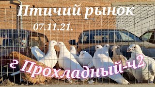 Голуби цены Птичий рынок г Прохладный-ч2Pigeons prices Bird market g Cool-ch2