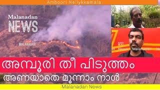 അമ്പൂരി തീ പിടുത്തം | അണയാതെ മൂന്നാം നാൾ | AMBOORI FOREST FIRE | NELLYKMALA | SARAM JOYN \\