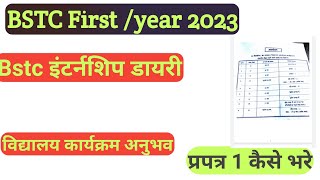 BSTC First Year 2023 | विद्यालय अनुभव कार्यक्रम |इंटर्नशिप कार्यक्रम डायरी कैसे बनाएं?