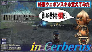 FF11 格闘全ウェポンスキル習得したので撃ってみた