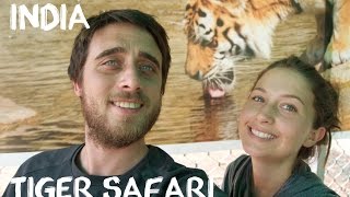 Sariska Tiger Reserve -Safari from Jaipur (Travel Vlog)