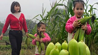 A Peaceful Life: Ha and San San Playing in the Cornfields / Ly Phuc Ha