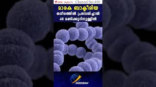 ശരീരത്തില്‍ പ്രവേശിച്ചാല്‍ 48 മണിക്കൂറിനുള്ളില്‍ മരണ സാധ്യത | DEADLY BACTERIA | BACTERIAL INFECTION