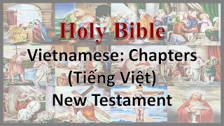 AudioBible：Vietnamese：40027 The Matthew 027