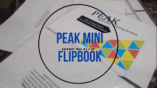 PEAK Direct Training & Generalization Flipbook