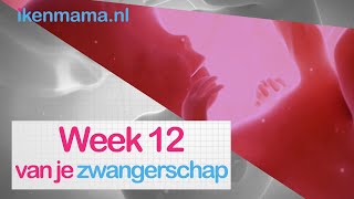 12 weken zwanger | ikenmama.nl