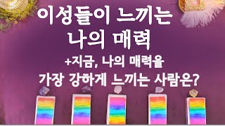 [타로] 나의 매력/feat.그런 나의 매력을 강하게 느끼는 사람은?