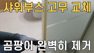 욕실 샤워부스 오염된 고무 쫄대 교체방법/ 곰팡이 완벽하게 없애는 방법/ 매직청소tv