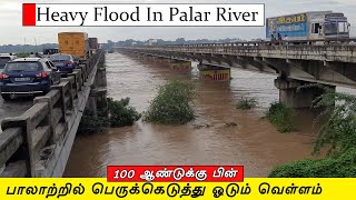 Heavy Flood in Palar River Chengalpattu | பாலாற்றில் வெள்ளம் | Flood Water From Tirupati and Kadapa