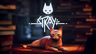 『Stray』 初見プレイ 20分 【猫×サイバーパンク】